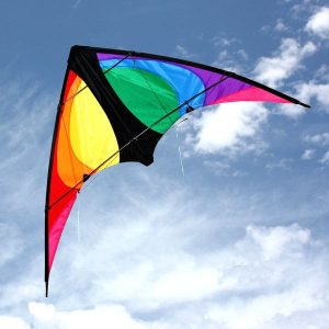 Stinger Trick Kite