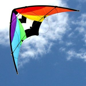 Stuntmaster Dual Control Kite