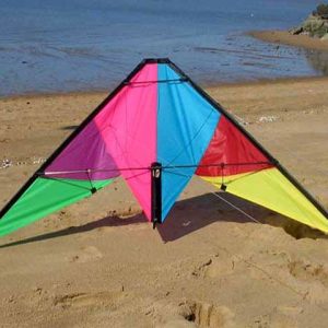 Wind Dancer Performance Kite
