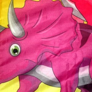 Dinosaur Delta kite