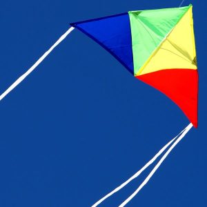 Junior Delta kite