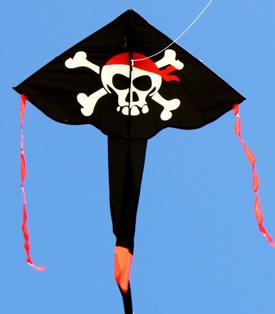 Black Color Delta Kite with Beautiful Pirate Print