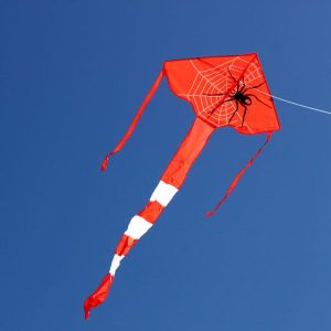 Spider kite