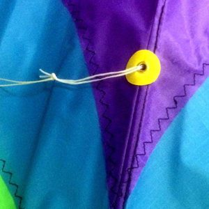 Waves kite
