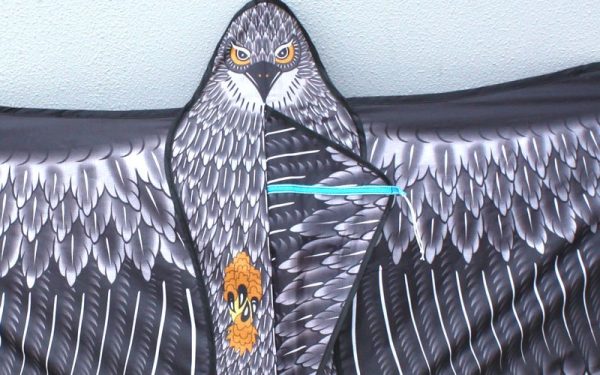 Printing detail of Eagle Single Line kids kite