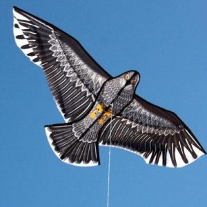 Eagle Kite