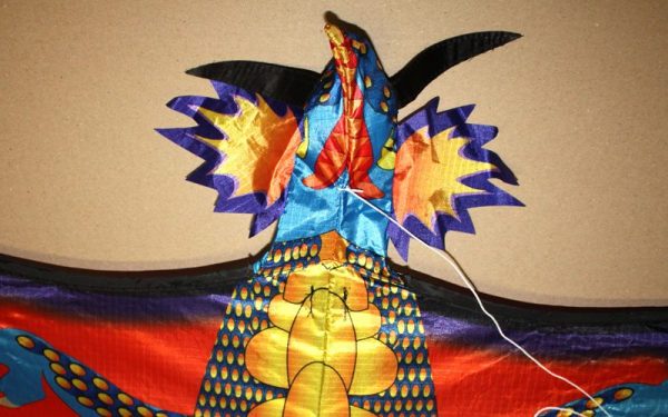 Detail of 3 dimensional Head of Fire Dragon single string kids kite