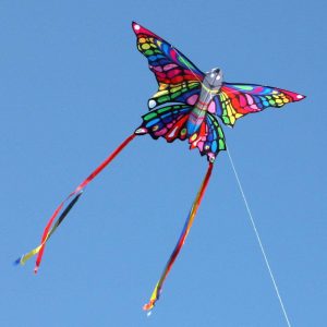 Rainbow Butterfly kite