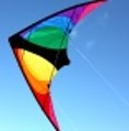 Stinger Trick Kite