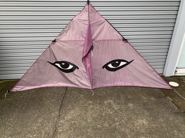 Purples eyes kite
