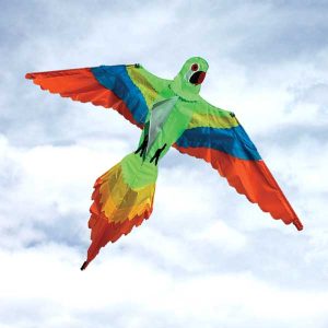 Bird Kite