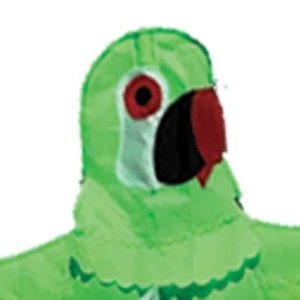 Bird Kite