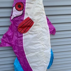 Fish Windsock