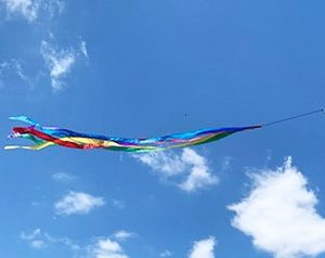 Neon Kite Tails