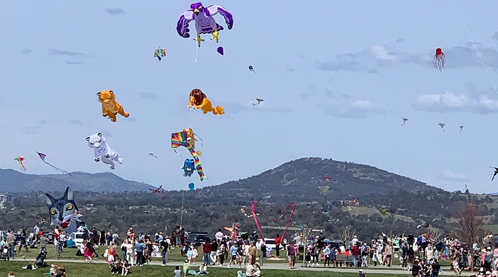 large kites flying over canberra arboretum